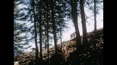 2x15 - L'homme mystère (2).