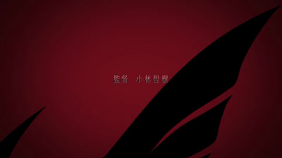 akame ga kill 13