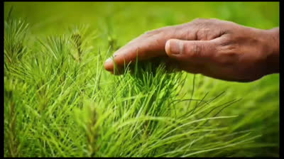 PRESUNTO CULPABLE - ( Javier Rodriguez Barrera ) D.R. MÉXICO 2023