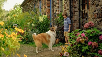 LASSIE 'Ein neues Abenteuer' (2023) FULLMOVIE