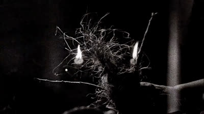 American horror story 3° temporada episódio 9