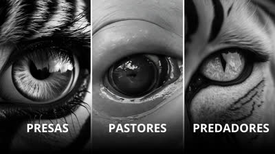 OS 3 TIPOS DE OLHOS NA SOCIEDADE