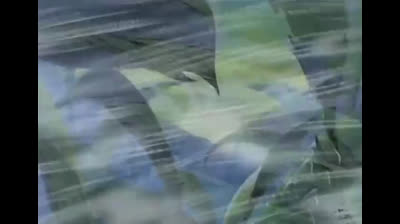 Demetan e la banda dei ranocchi episodio 13 Il mondo è talmente vasto