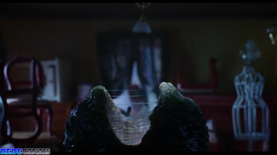 Sting aranha assasina