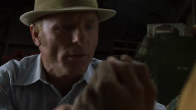 Me llaman Radio (2003)