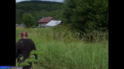 Uma natureza violenta