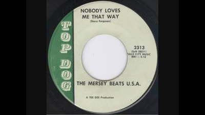 Mersey Beats U.S.A. (1966) - Nobody Loves Me That Way
