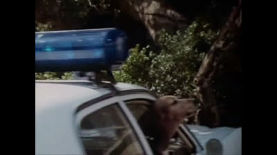 Baywatch 06x10 Vacanze Pericolose Parte 2