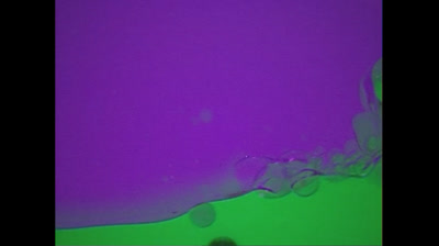 Baby Mozart 2003 DVD