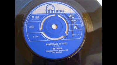 Two Much (1967) - Wonderland of love