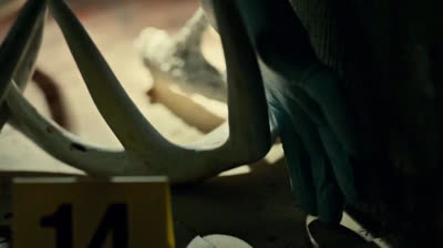 HANNIBAL - CAPITULO 2: AMUSE-BOUCHE (SUB ESPAÑOL)