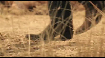 Young Sheldon - 1° Temporada - Episódio 4